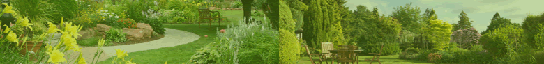 SubHeader