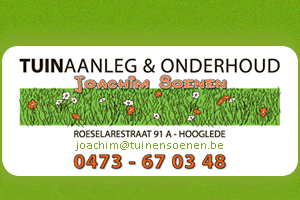 LogoSoenen